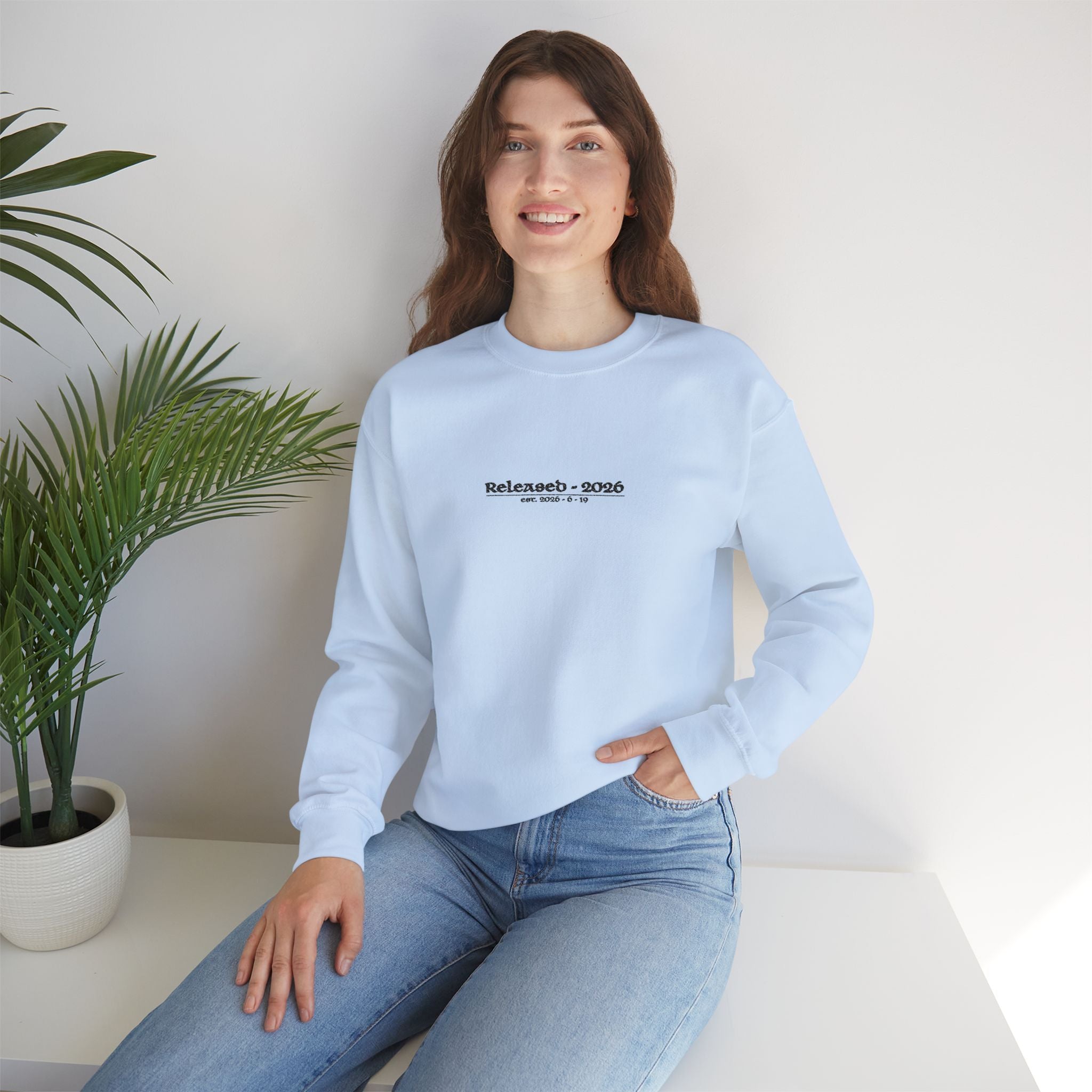 sweatshirt - light blue