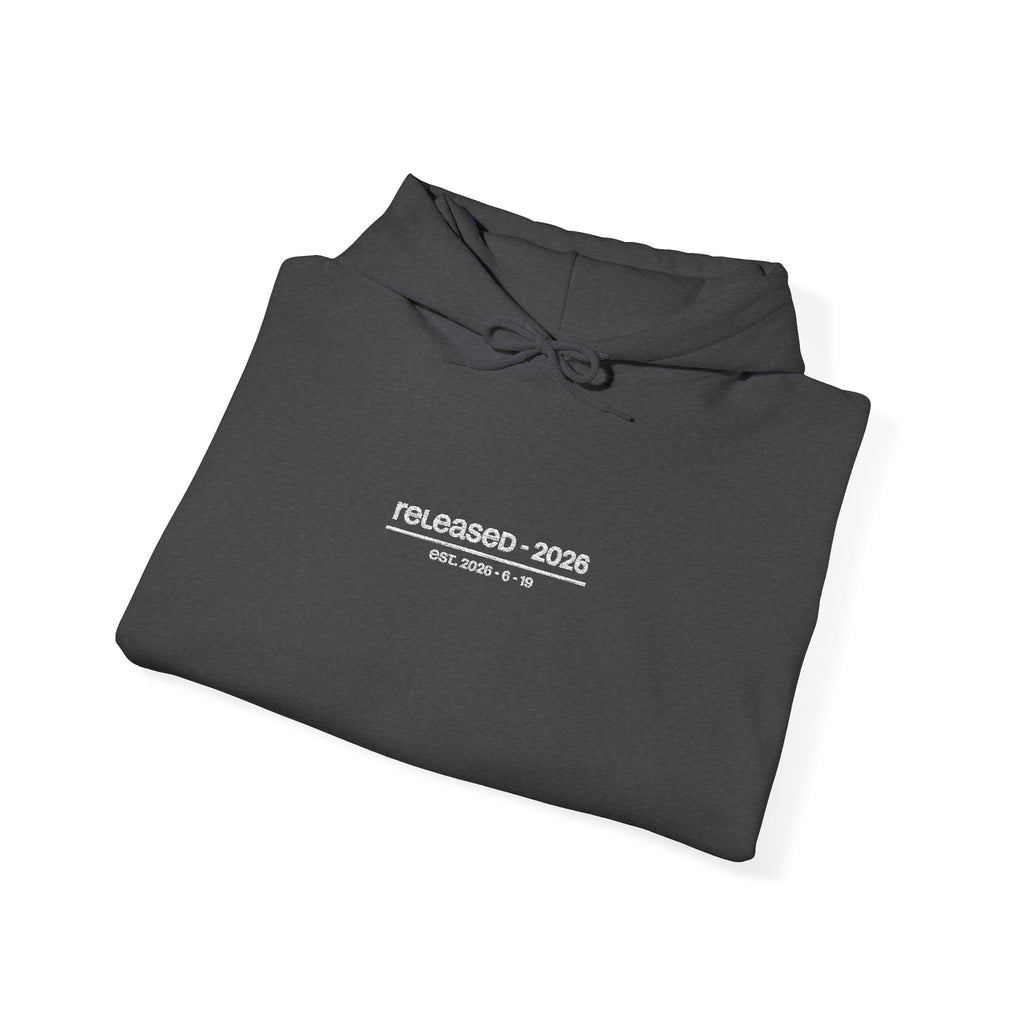 central hoodie - grey