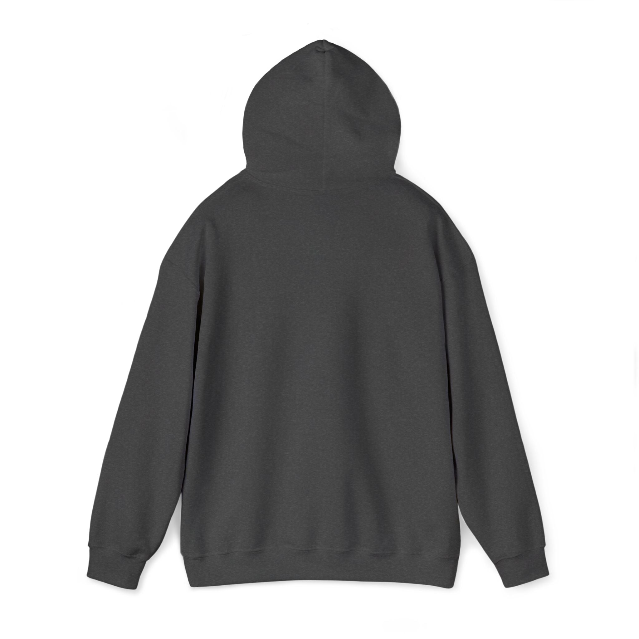 central hoodie - grey