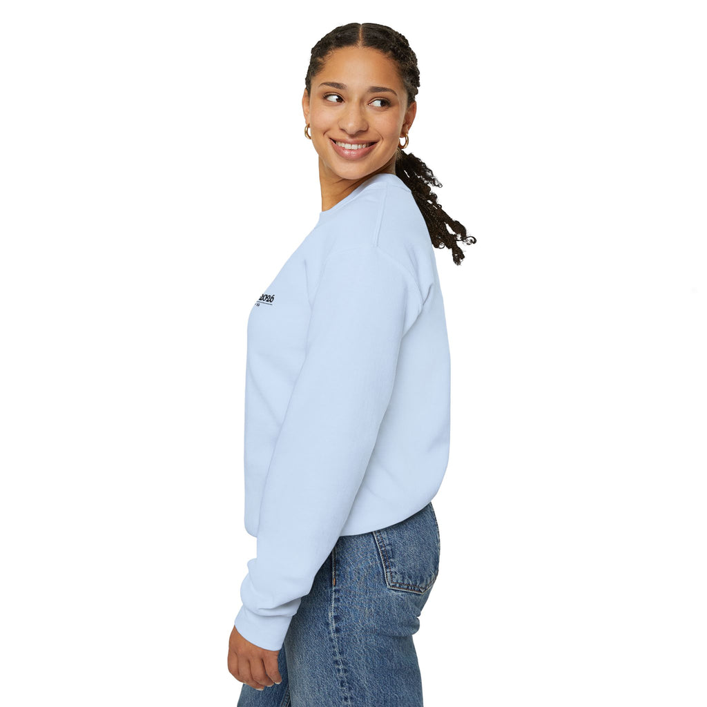 sweatshirt - light blue