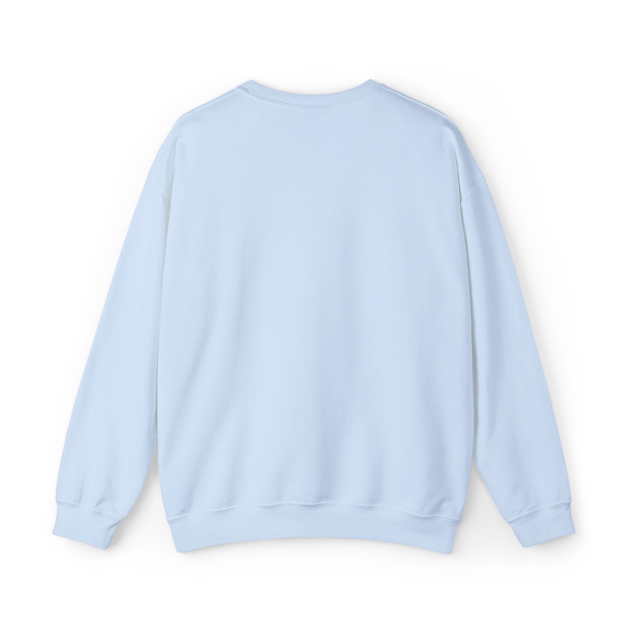 sweatshirt - light blue