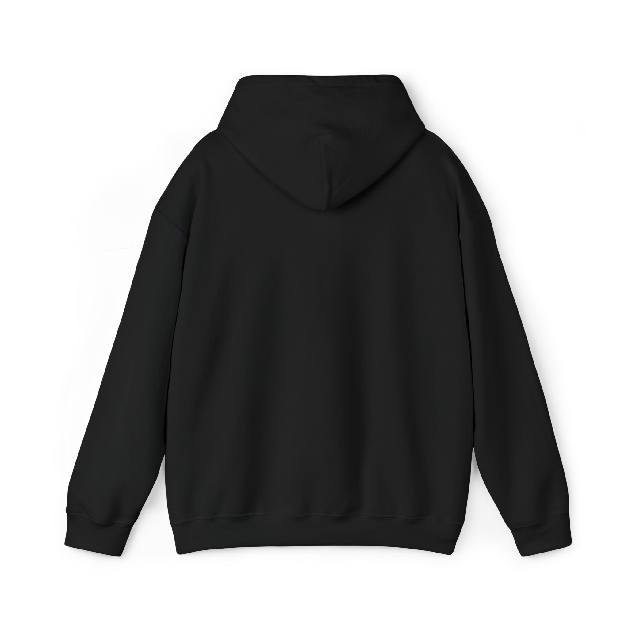 central hoodie - black