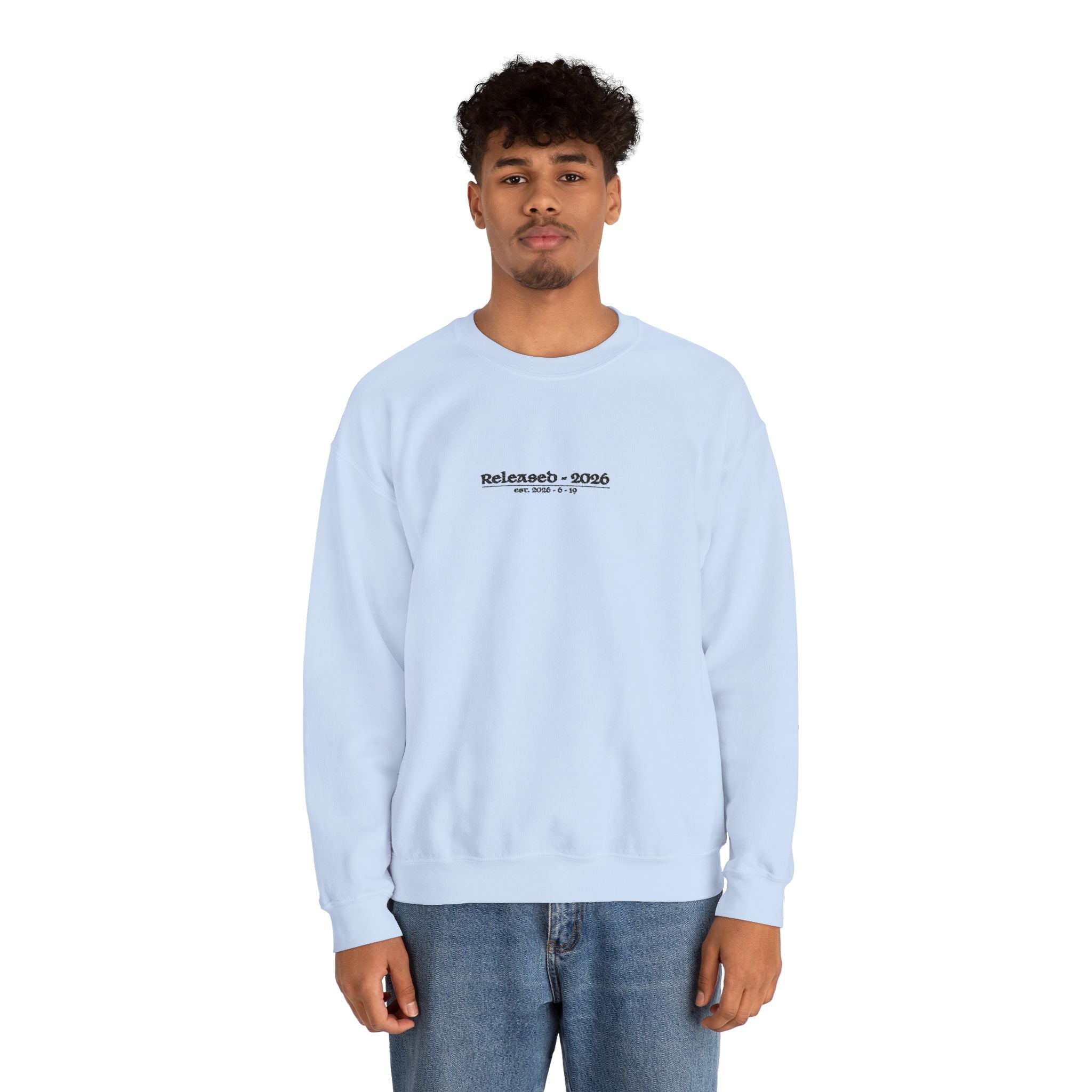 sweatshirt - light blue