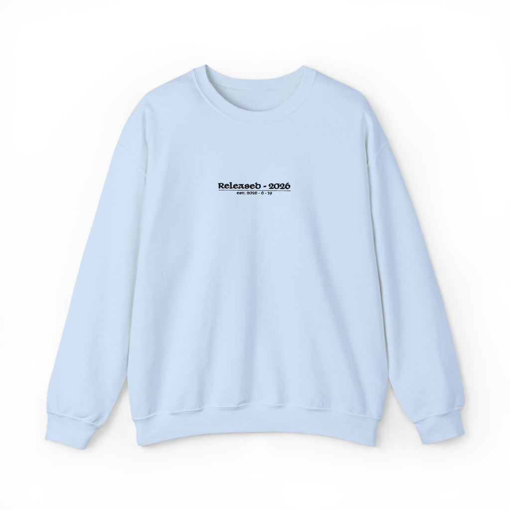 sweatshirt - light blue