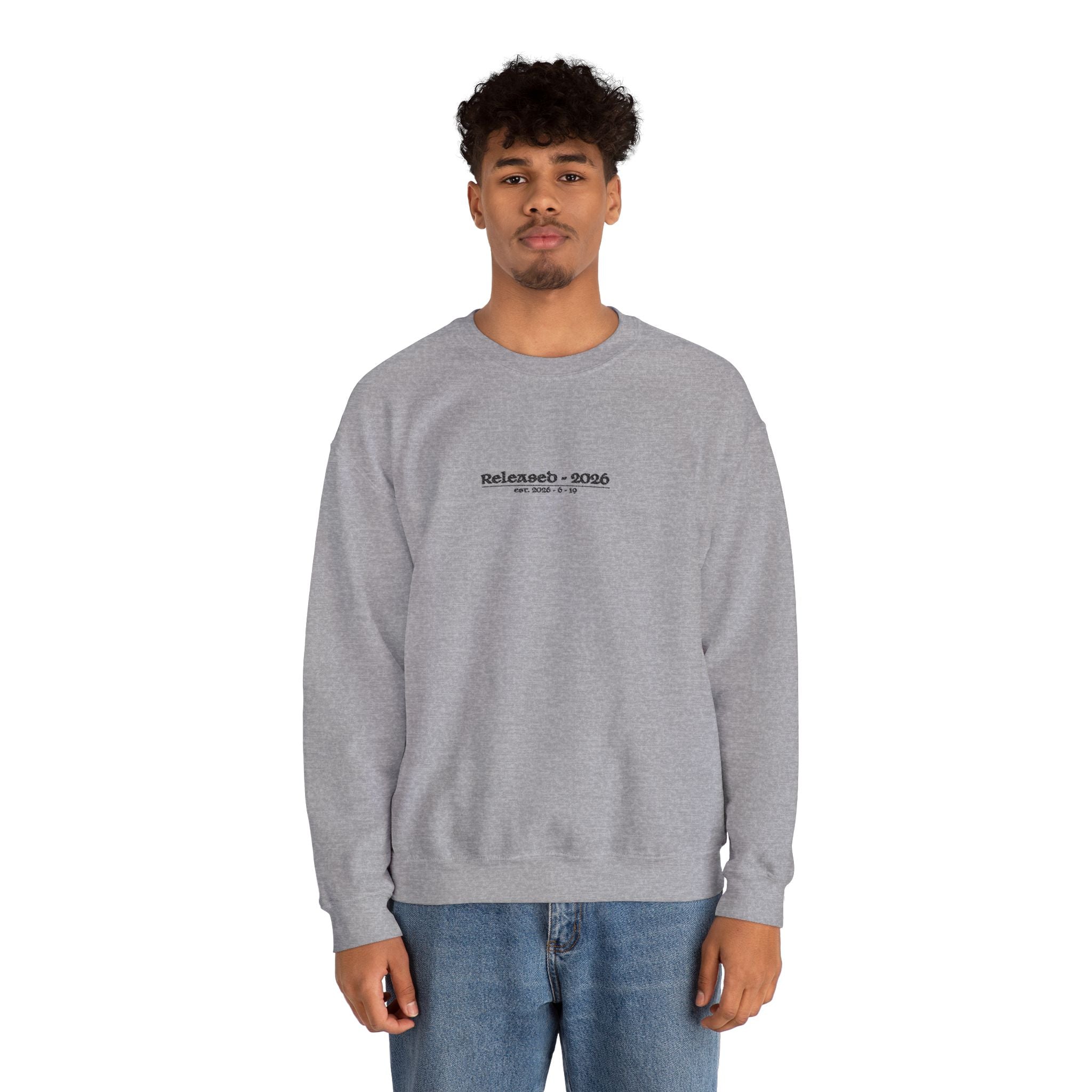sweatshirt - dark grey