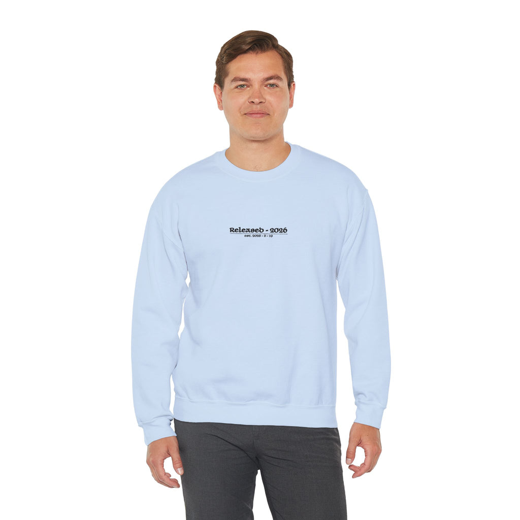 sweatshirt - light blue