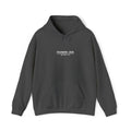 central hoodie - grey