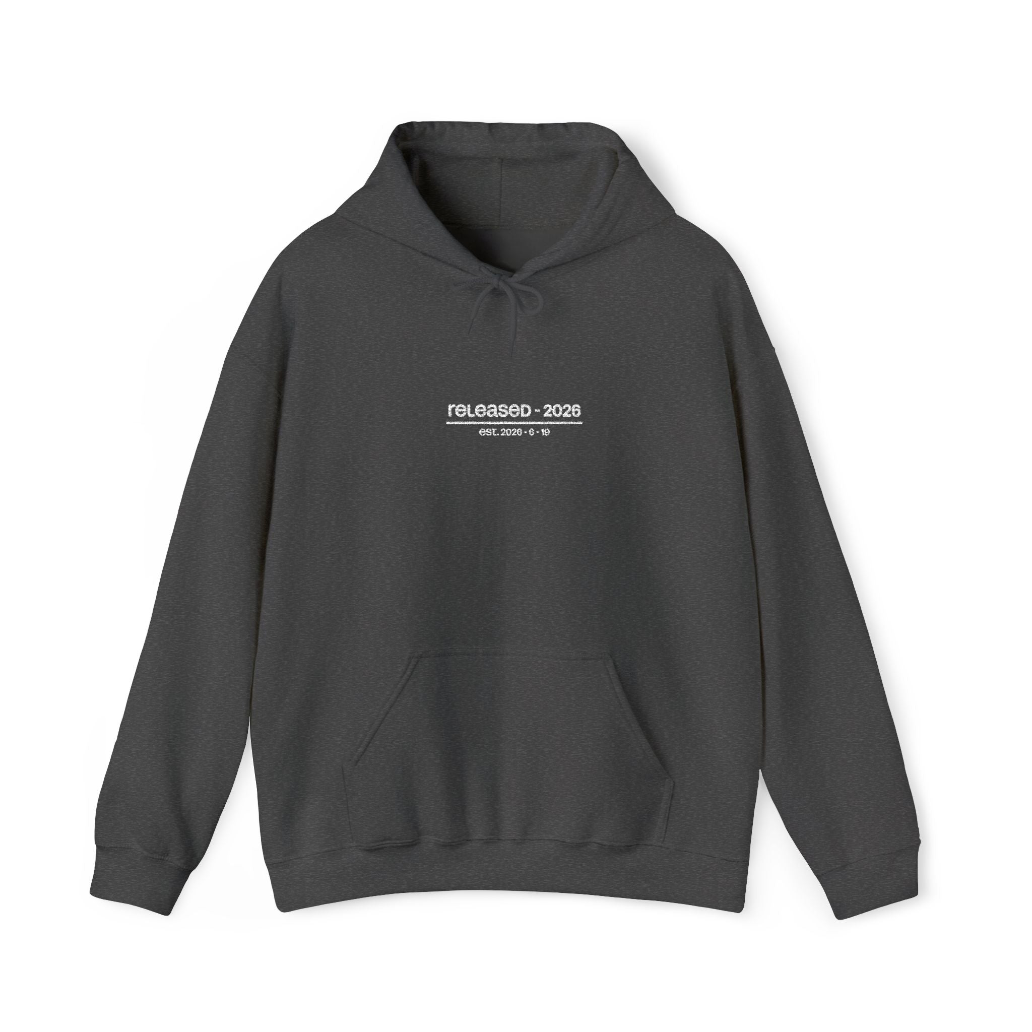 central hoodie - grey