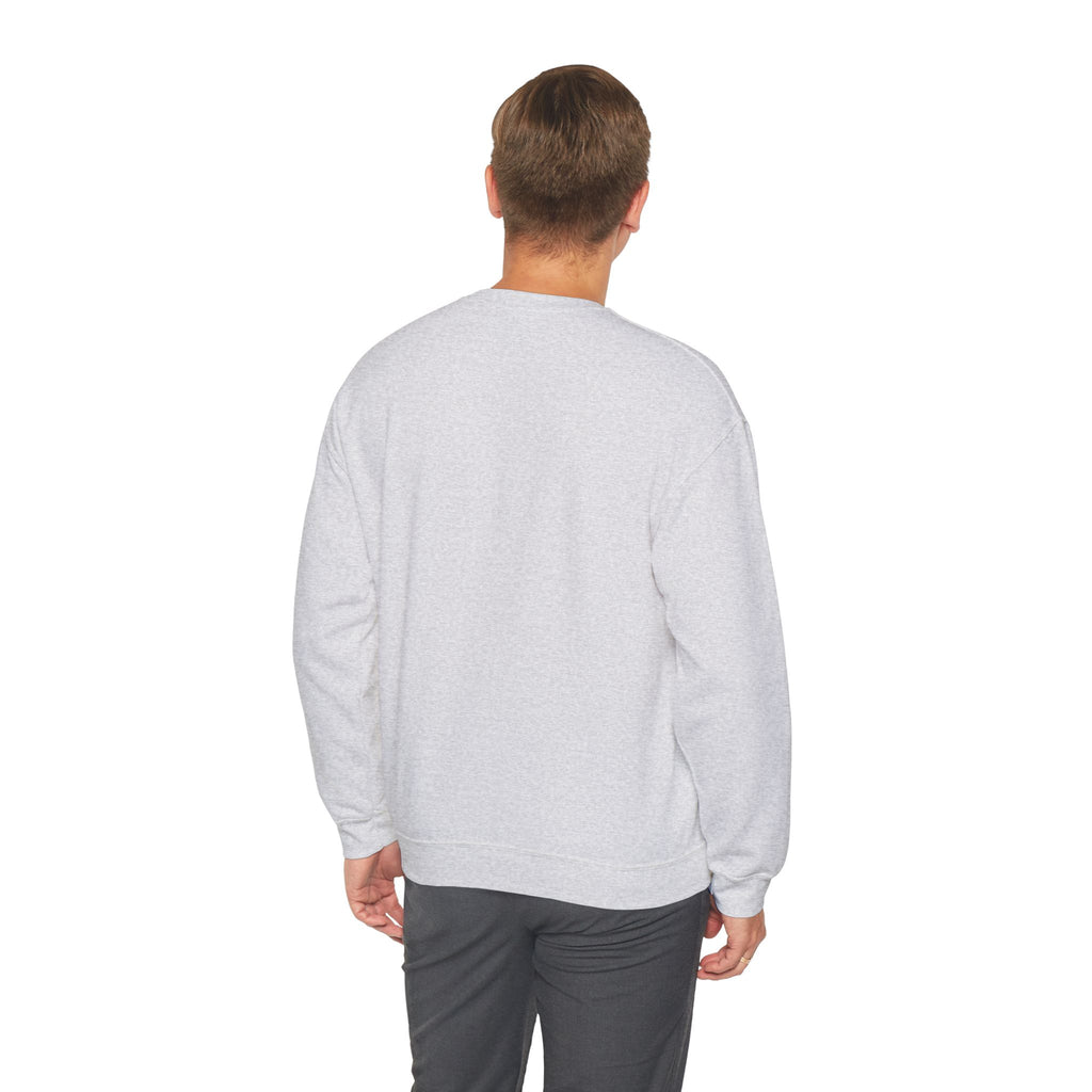 sweatshirt - ash
