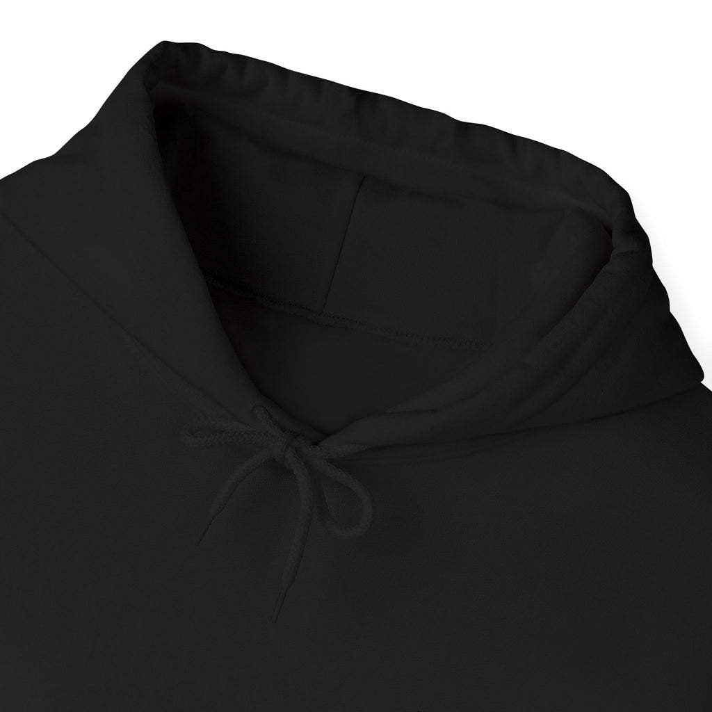 central hoodie - black