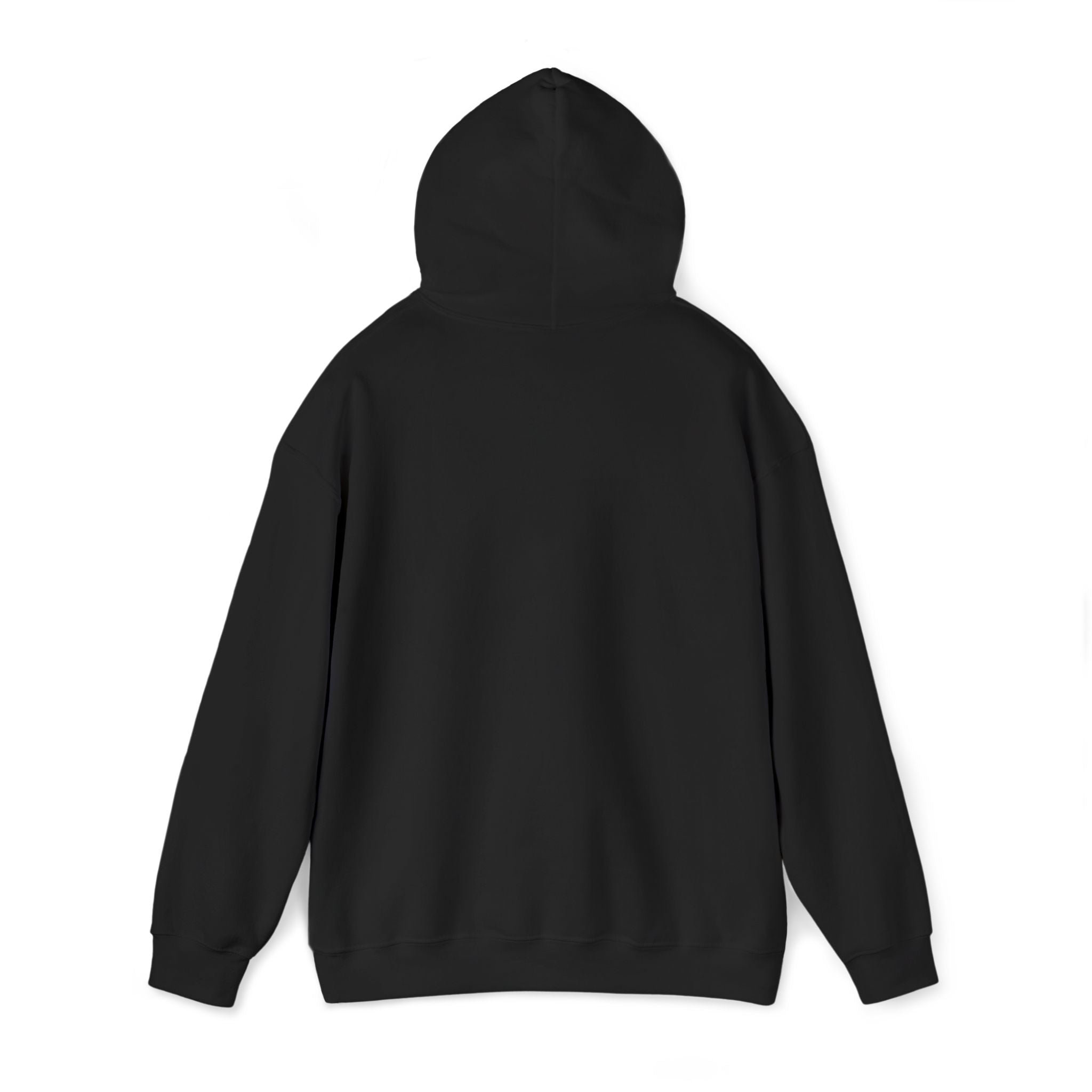 central hoodie - black