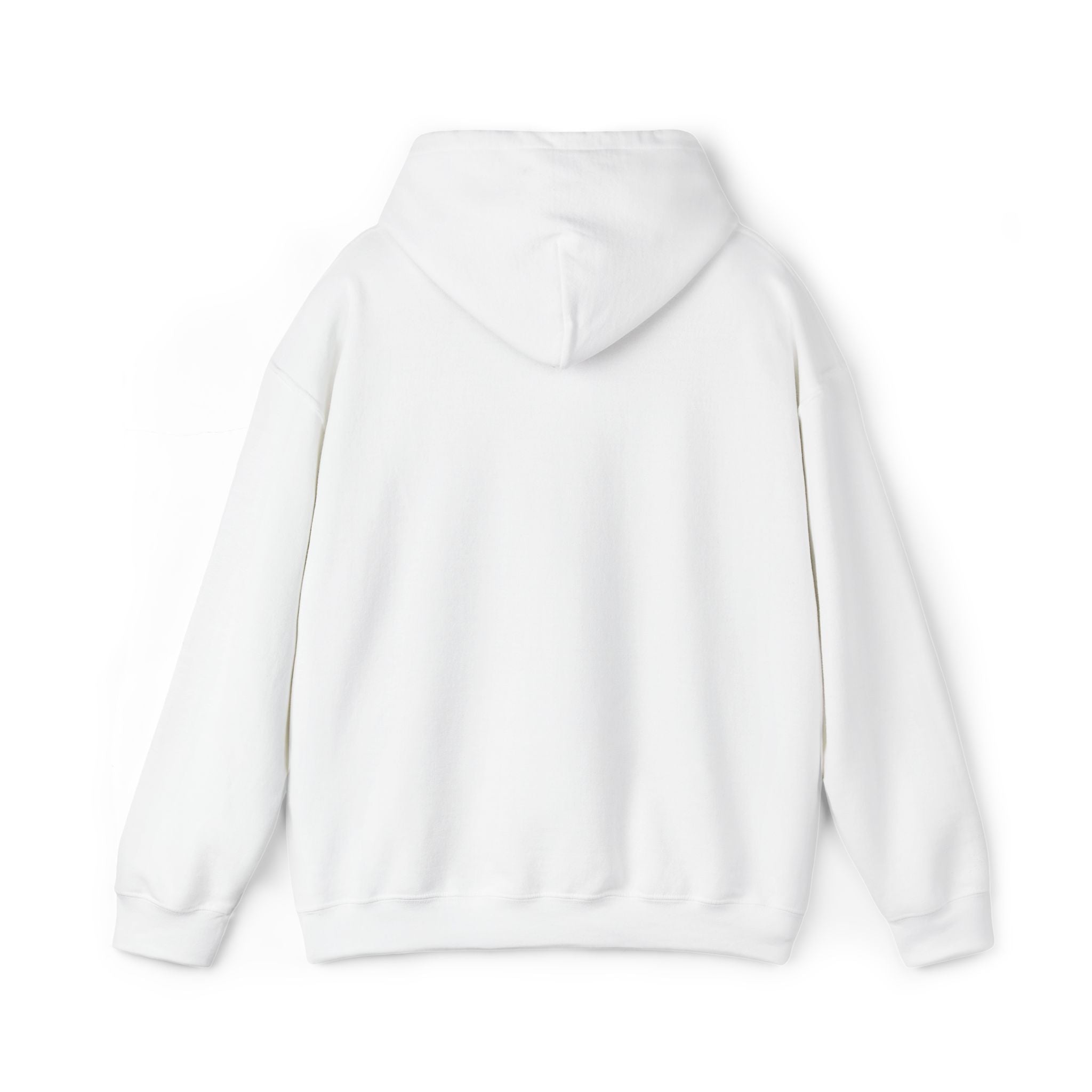 central hoodie - white