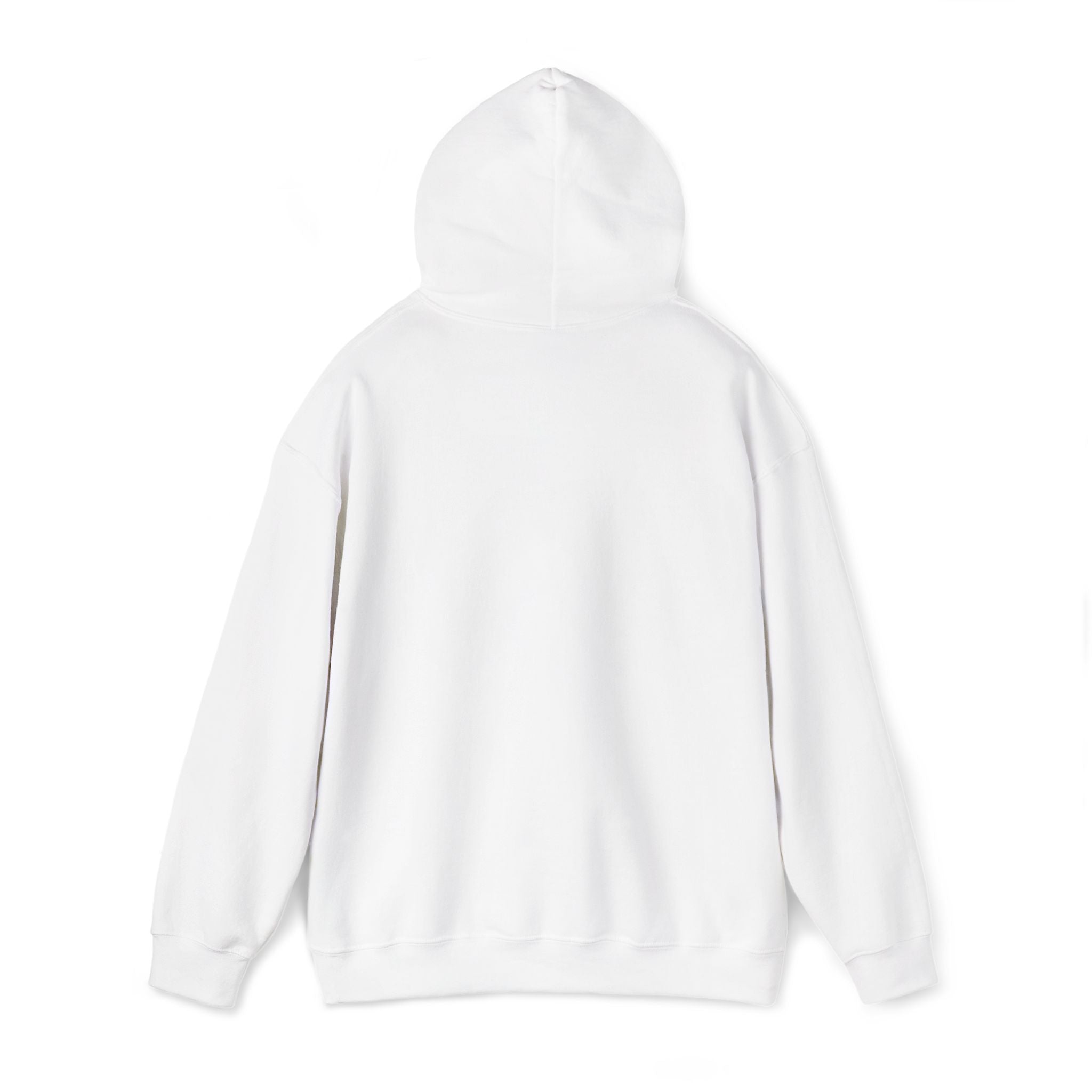 central hoodie - white