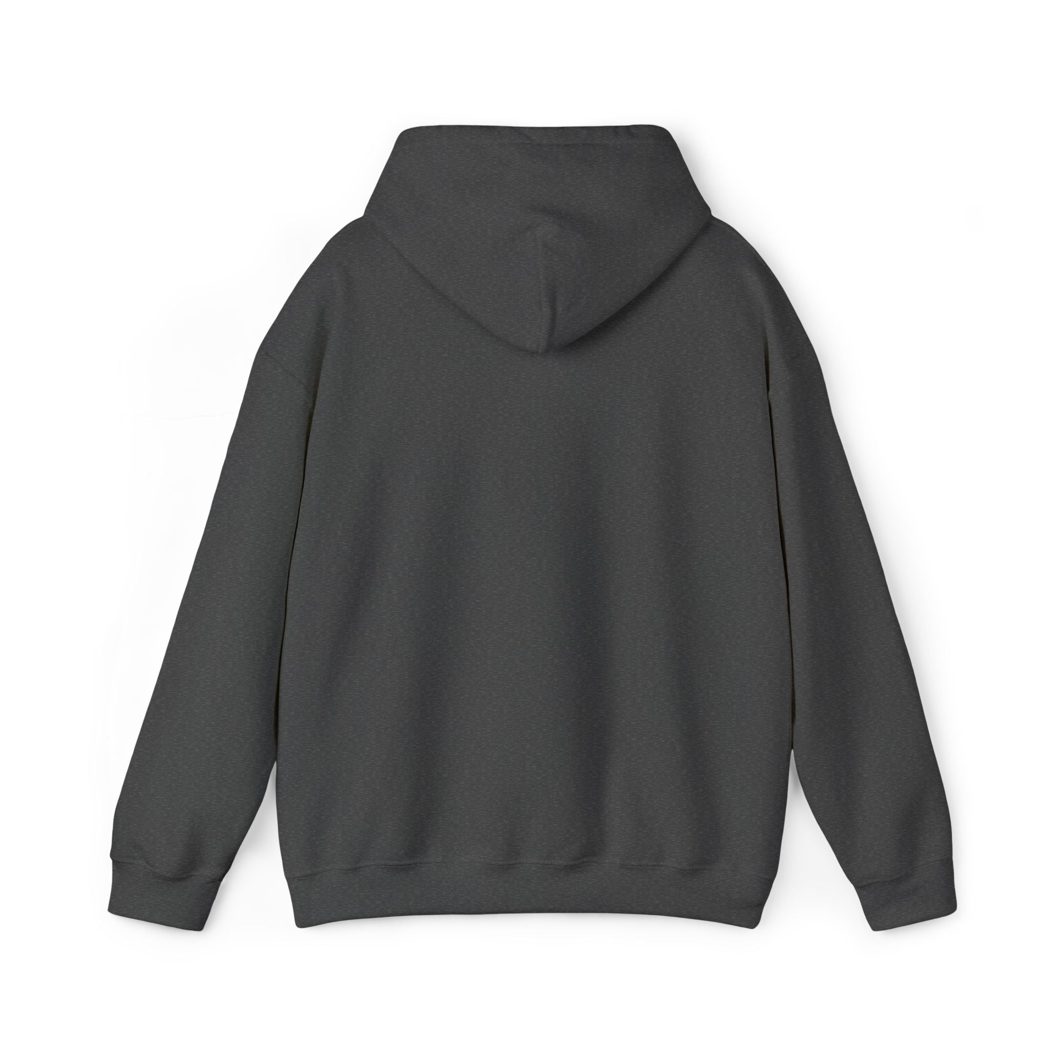 central hoodie - grey