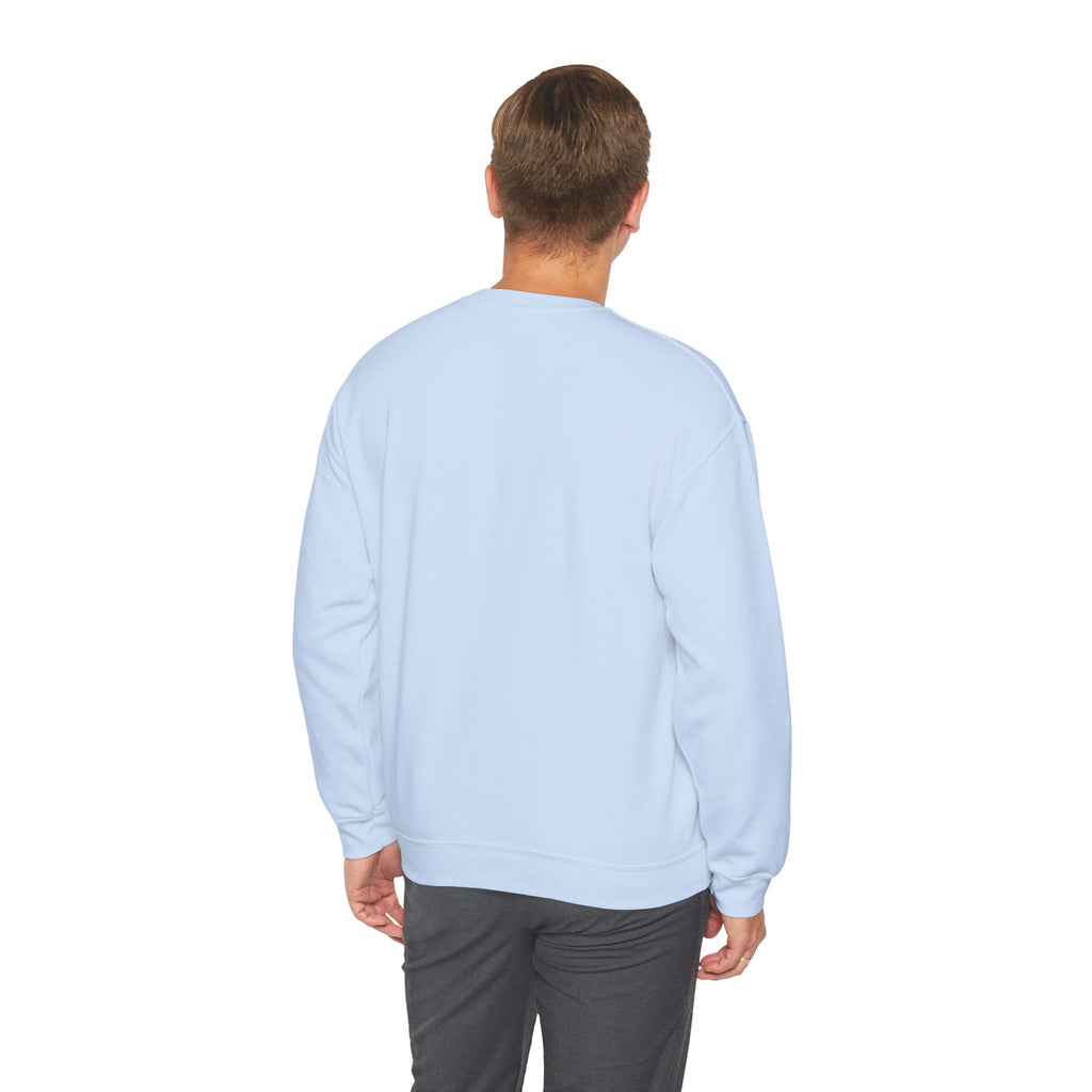 sweatshirt - light blue