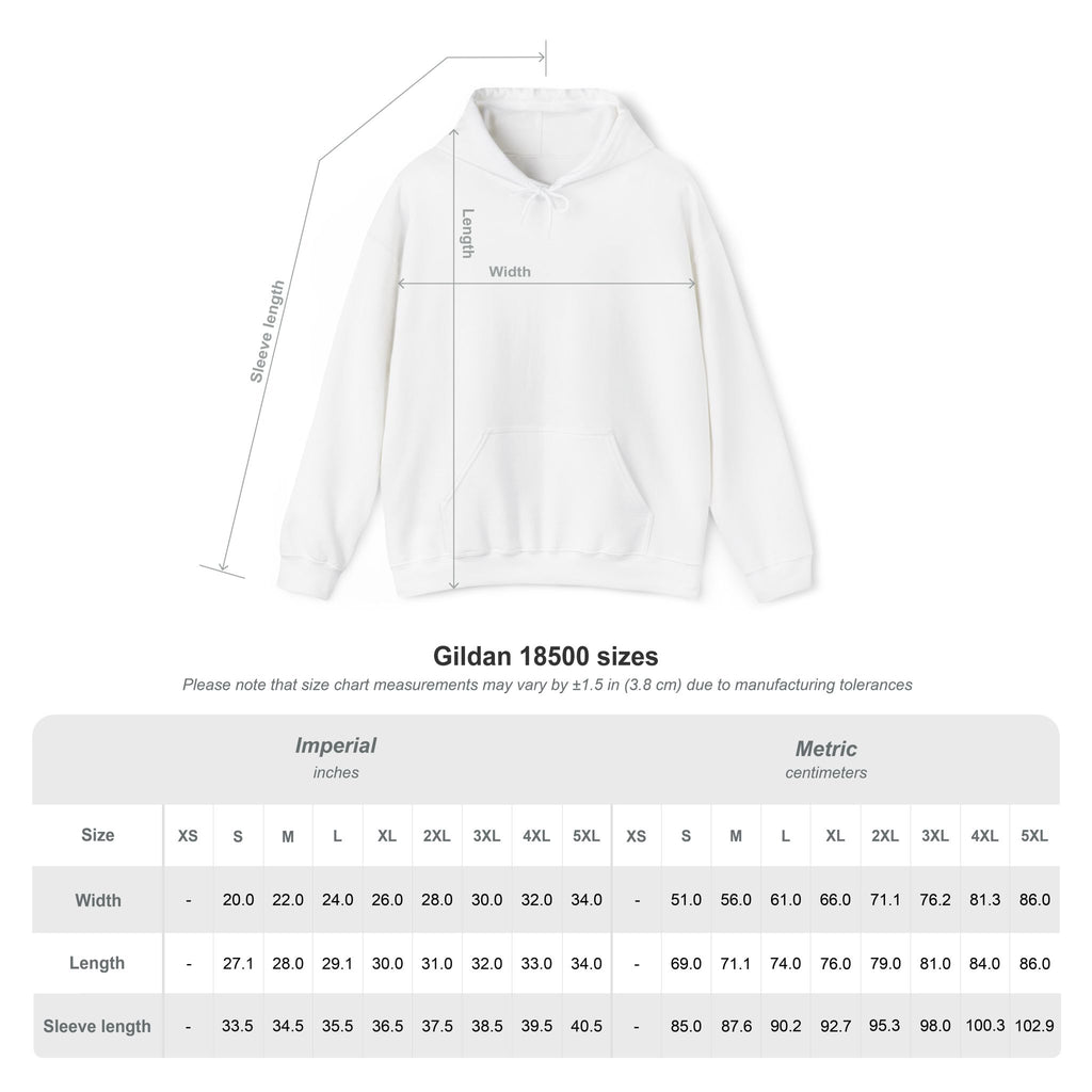 central hoodie - black