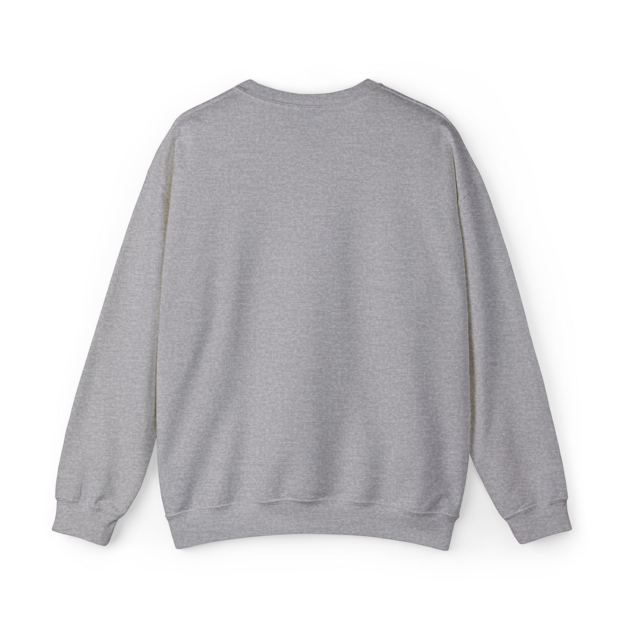 sweatshirt - dark grey