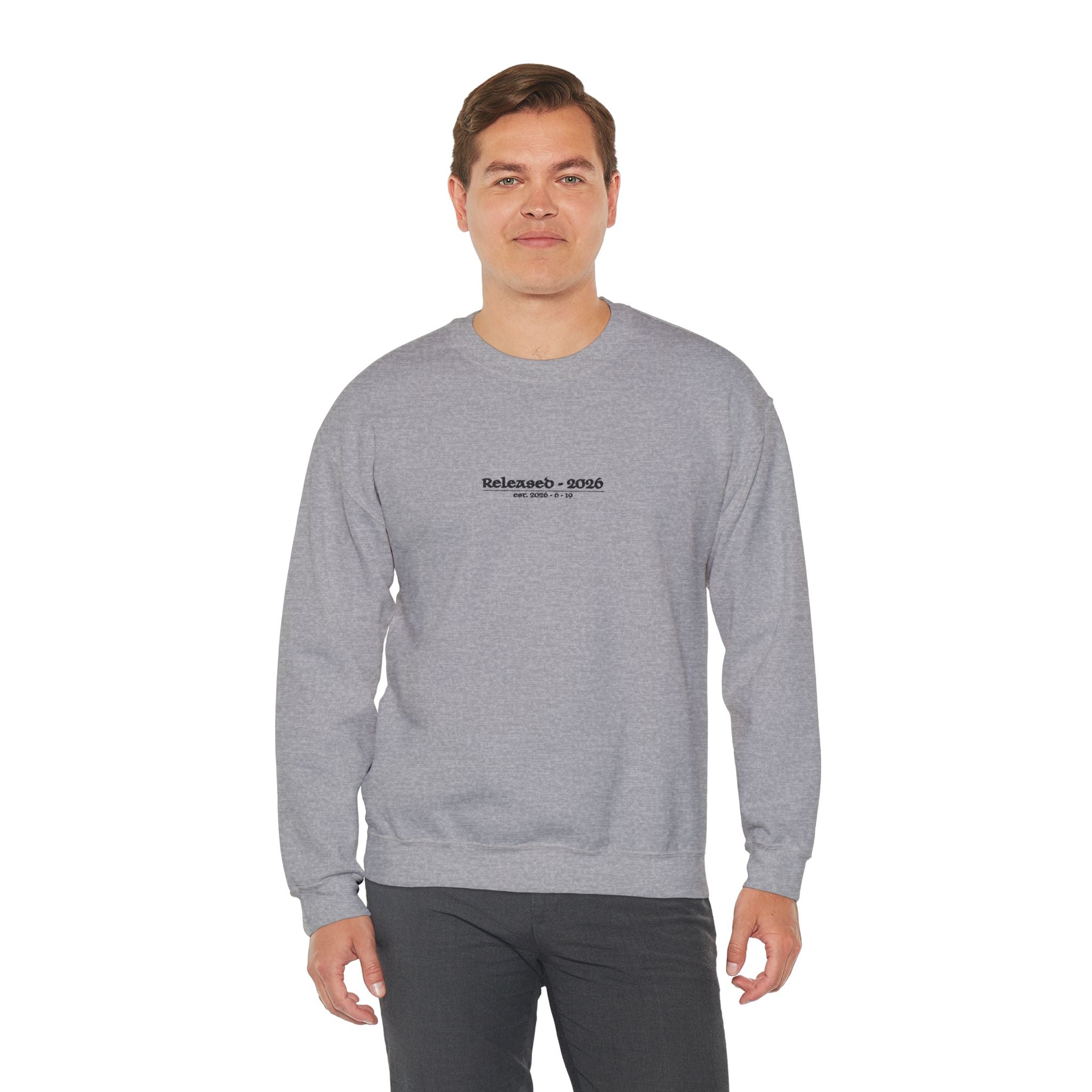 sweatshirt - dark grey