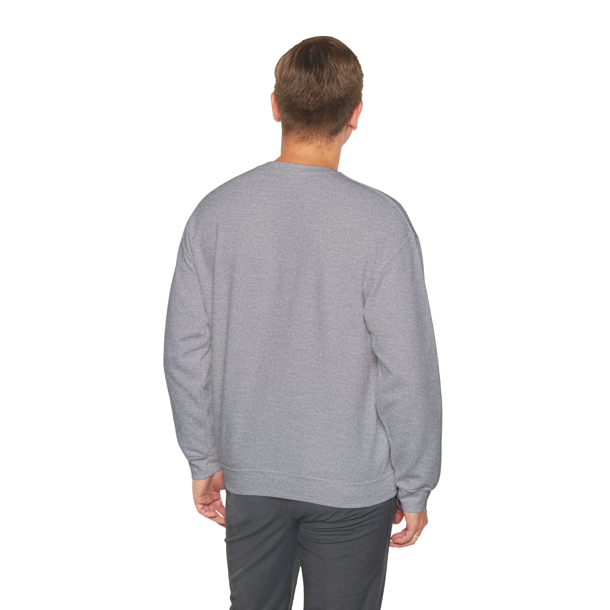 sweatshirt - dark grey